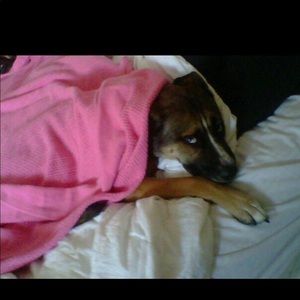 Meet your Posher, Adam